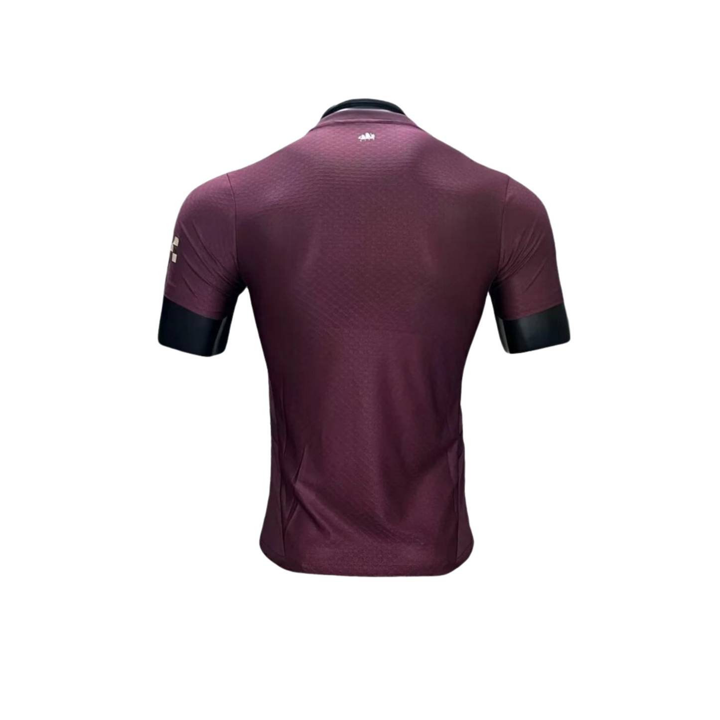 Manchester City 24-25