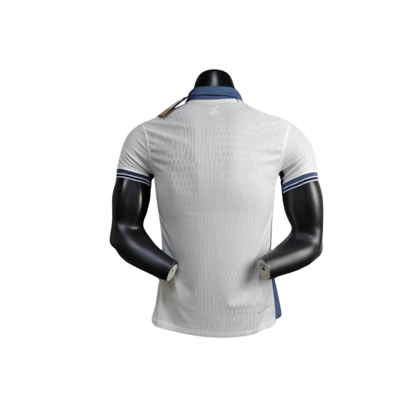 Inter de Milán 24-25 / Versión Jugador