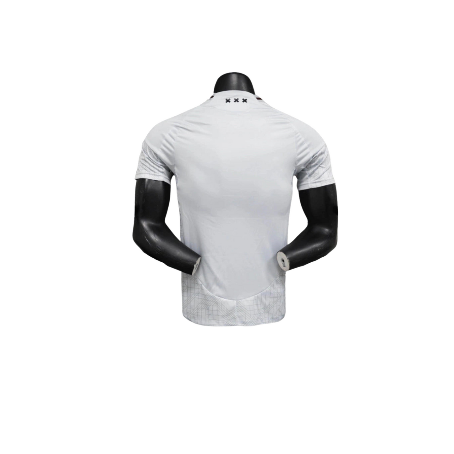 Ajax 24-25 / Versión Jugador