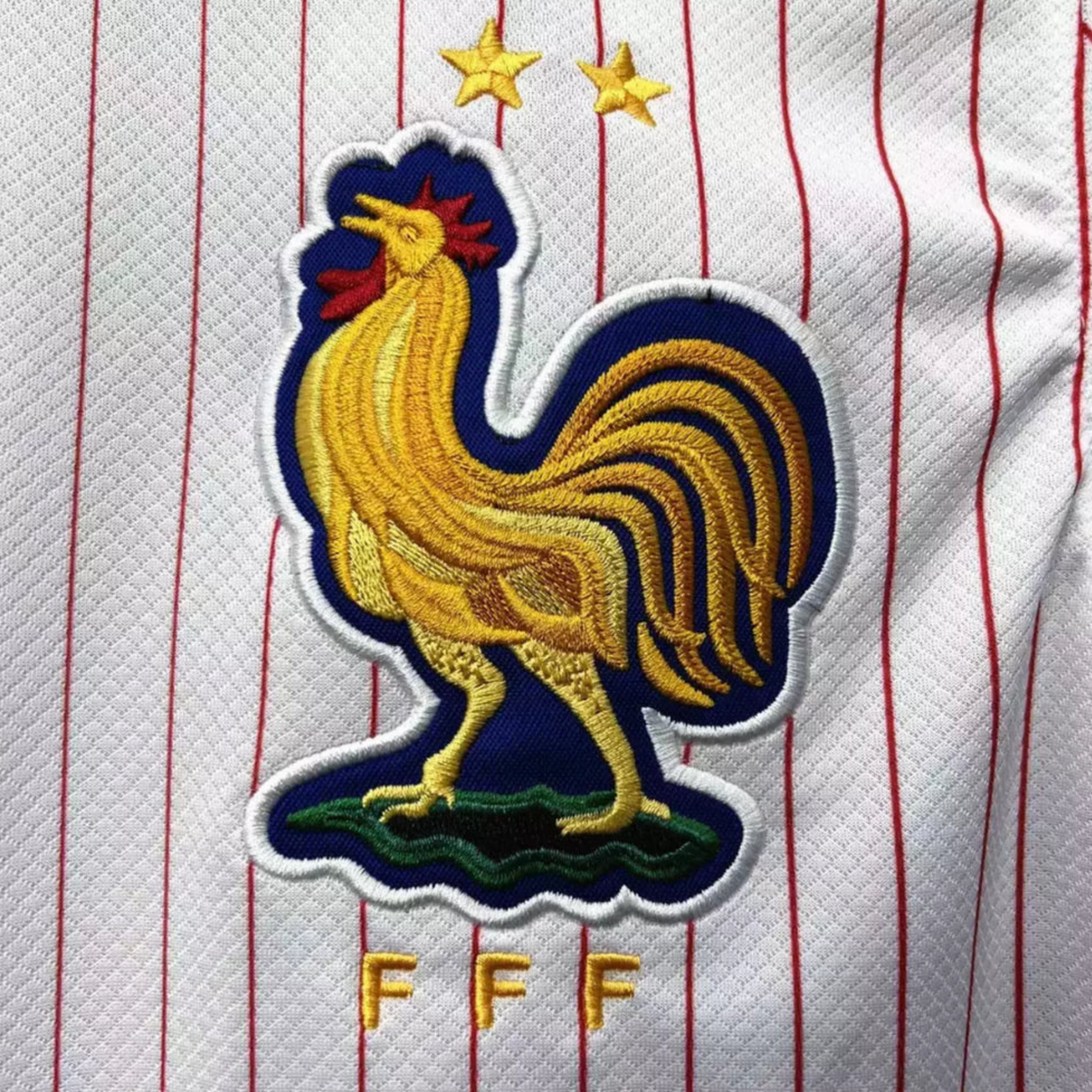 Francia 2024 / Versión Fan