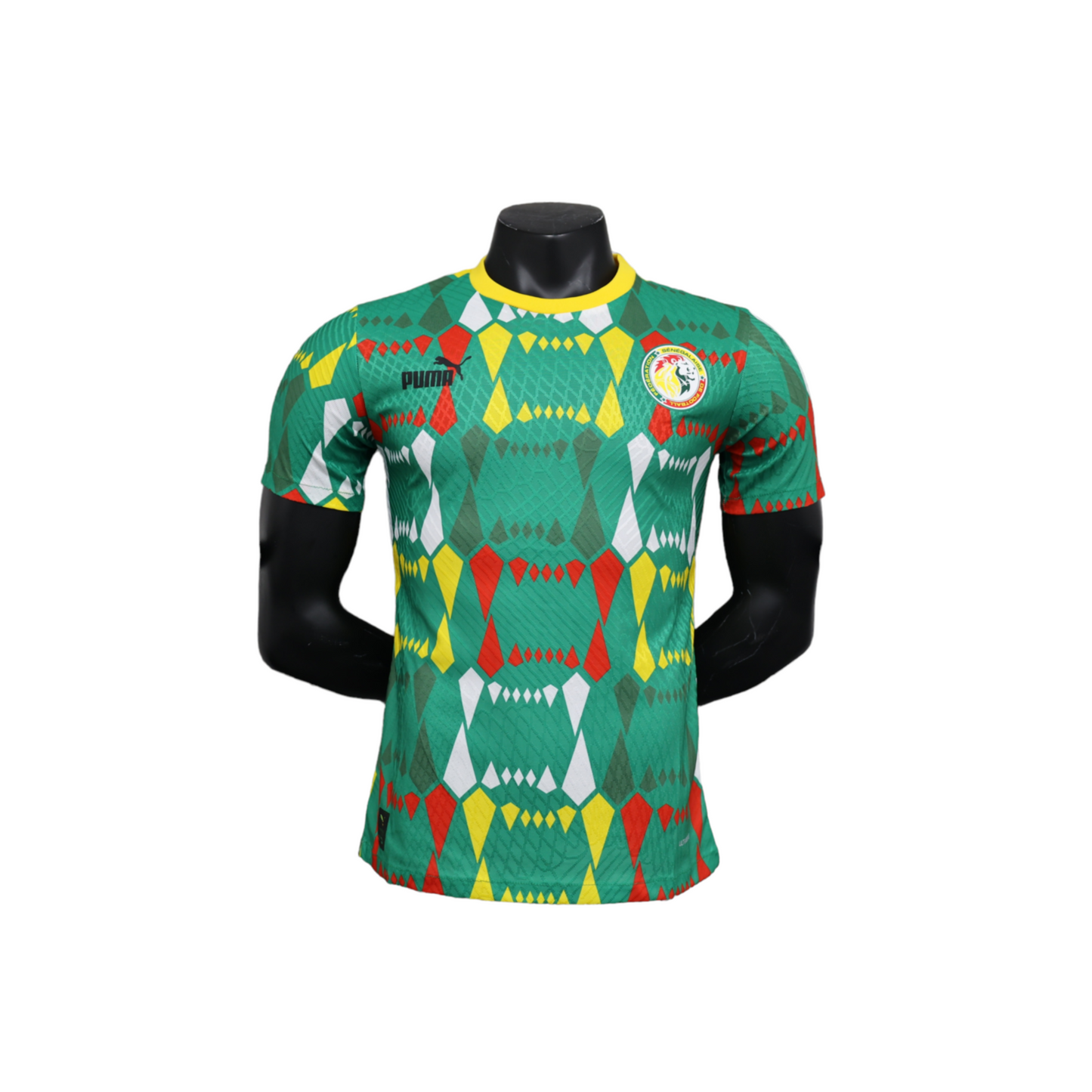 Senegal 23-24 / Versión Jugador