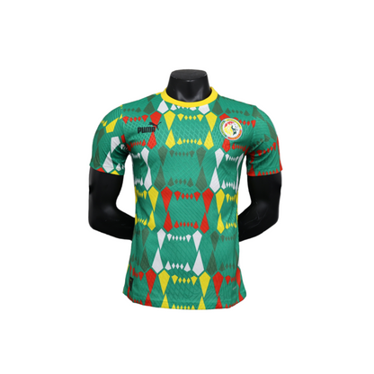 Senegal 23-24 / Versión Jugador