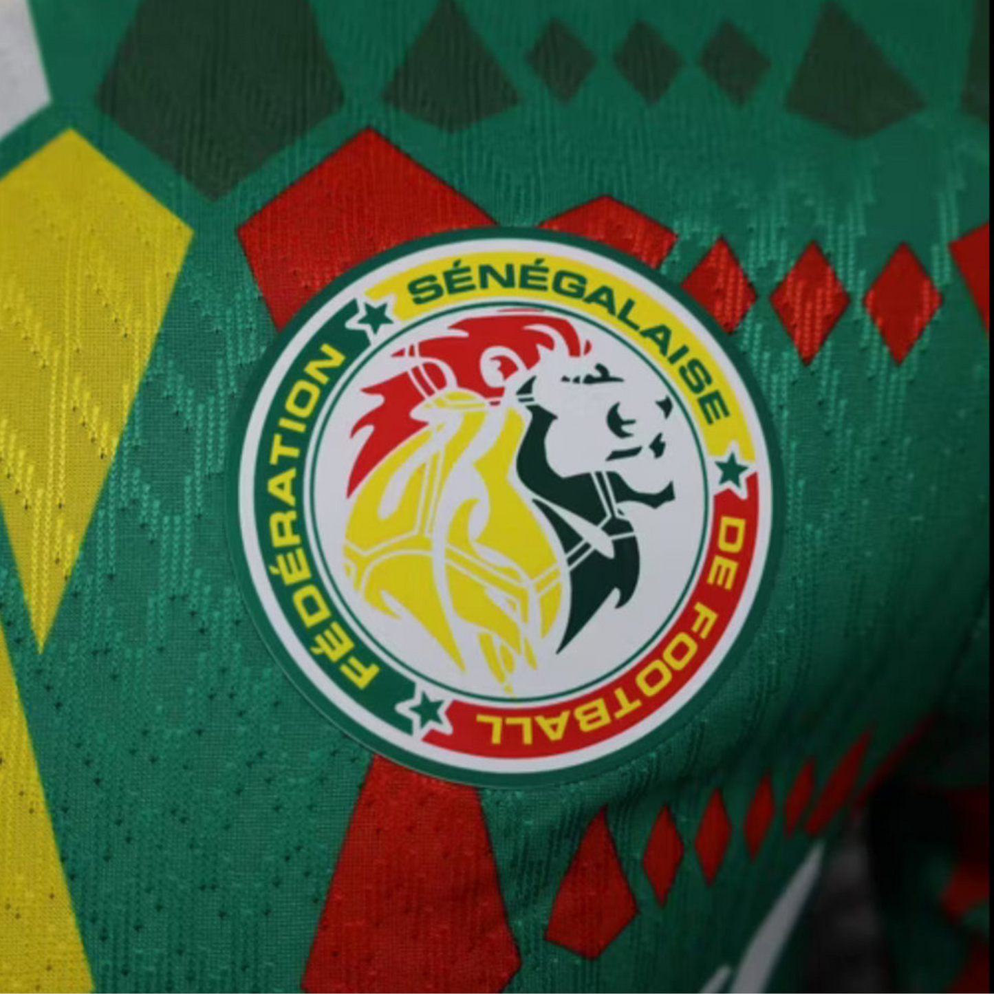 Senegal 23-24 / Versión Jugador