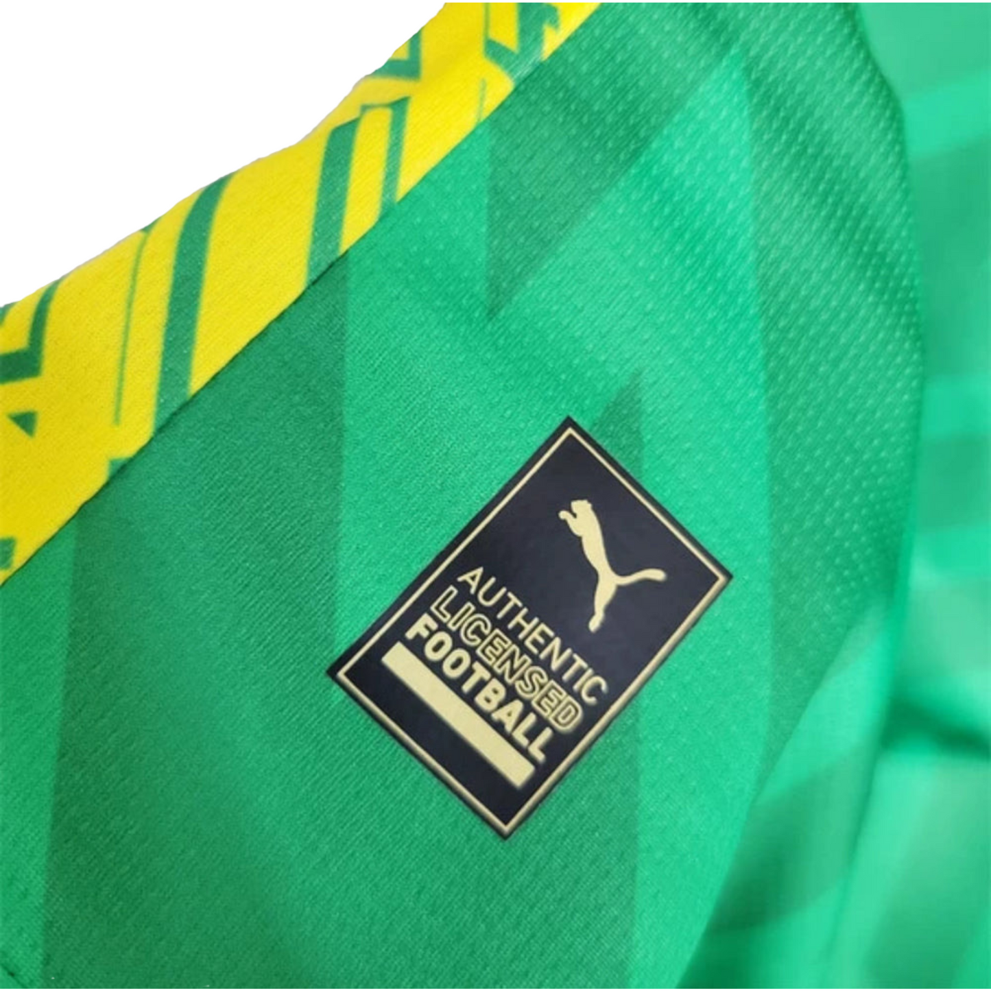 Manchester city 23-24