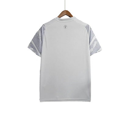 Manchester city 23-24